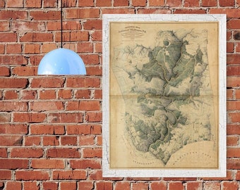National Park and Forest