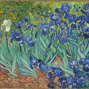 Irises by Vincent Van Gogh Fine Art Reprint.