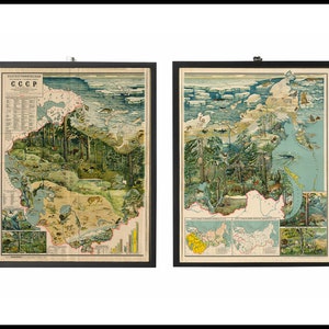Zoogeographische Lehrkarte der UdSSR 1928.  Reproduktion einer Vintage Landkarte.