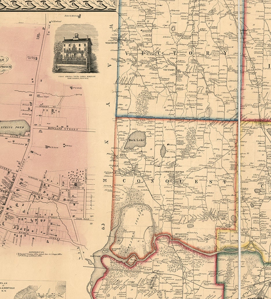 Map of Cayuga County New York NY 1853 Restoration Hardware Etsy