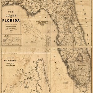 Op de afbeelding: Een antieke kaart van de staat Florida, gedateerd 1816. De kaart toont de kustlijn van de staat, rivieren en belangrijke steden. De kaart is verdeeld in vier secties, met een kleinere ingevoegde kaart van Key West in de linkerbovenhoek.