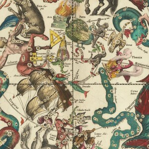 Celestial Chart by Andreas Cellarius - 1661 Celestial Map of the ...