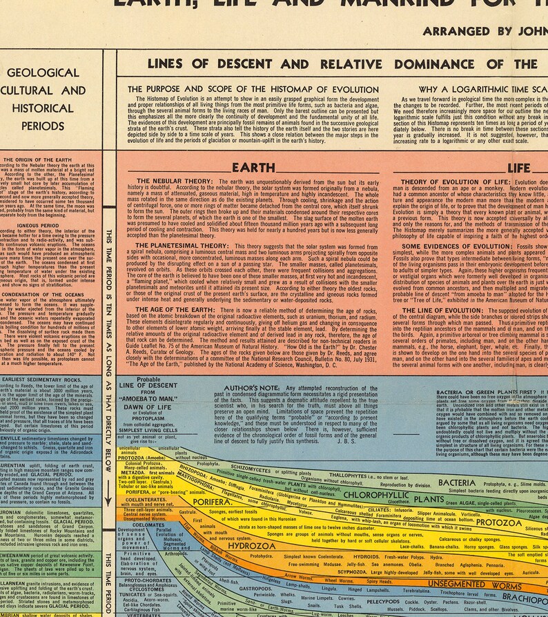 The Histomap of Evolution - Descent From the Dawn of Life to Present ...