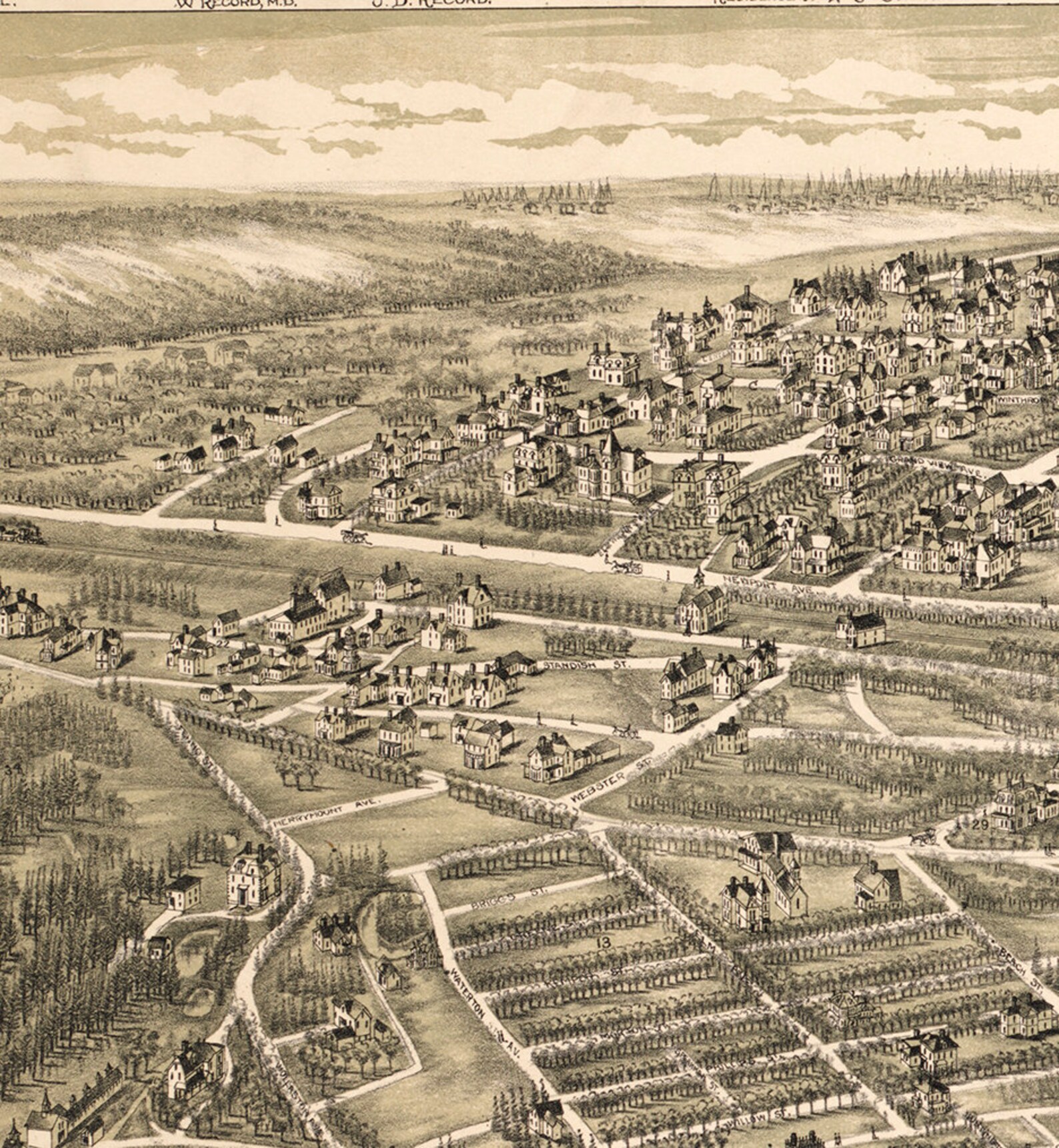 Map of Wollaston Massachusetts MA. 1890. Restoration Etsy