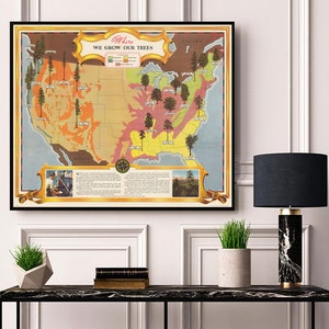May include: A vintage map of the United States showing where different types of trees grow. The map is titled "Where We Grow Our Trees" and is divided into four color-coded regions. The map is framed in a black frame and is hanging on a white wall.