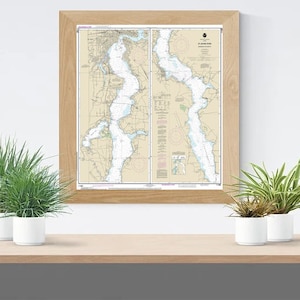 May include: A framed nautical chart of the St. Johns River, Florida, with detailed markings and a beige background. The chart is displayed on a shelf with two potted plants.
