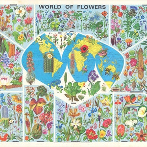 Bildliche Landkarte der Blumenwelt. Vintage Home Deco Style alte Wand Reproduktion Landkarte Druck.