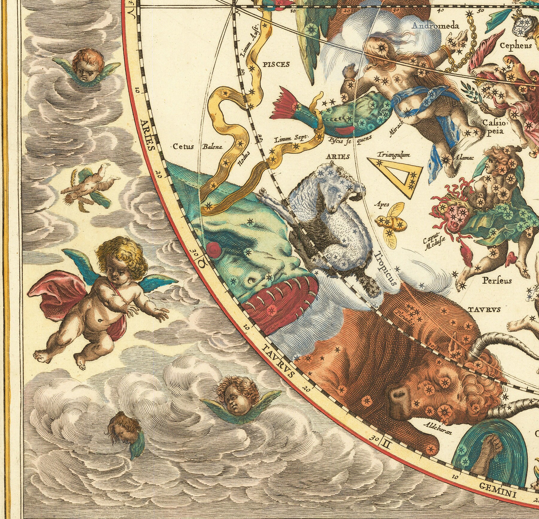 Celestial Chart by Andreas Cellarius - Haemisphaerium Stellatum Boreale ...