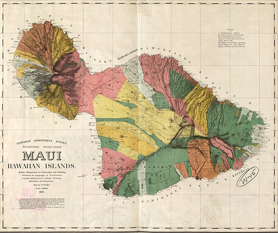 Carte de Honolulu 1893, carte de Honolulu vintage, vieil art