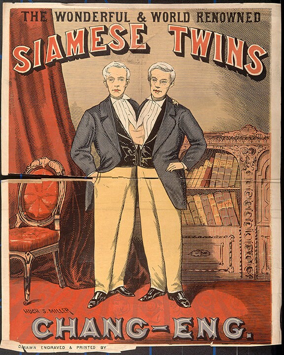 Siamese Twins - the Wonderful and World Renowned. Chang and Eng