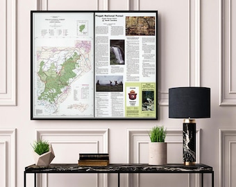 National Park and Forest