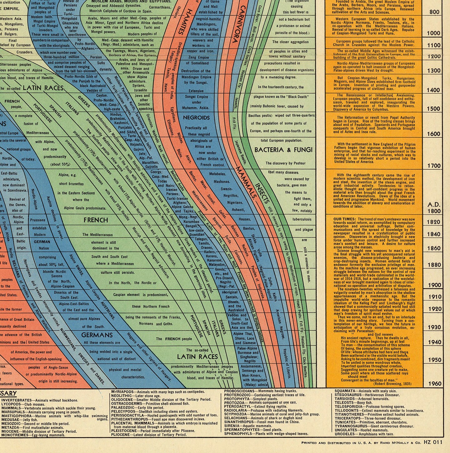 Histomap Example The Histomap of Evolution - Descent From the Dawn of Life to Present ...
