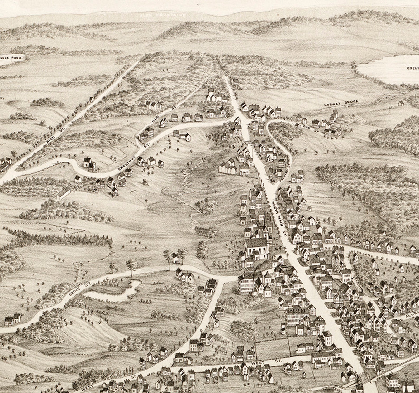 Map of Randolph Norfolk County Massachusetts MA. 1882. Etsy