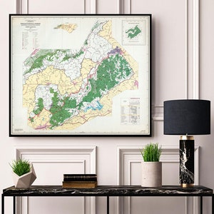 May include: A vintage map of the Pisgah National Forest in North Carolina, framed in black, hangs above a black console table with a lamp and two potted plants. The map shows the forest's boundaries, roads, and trails.