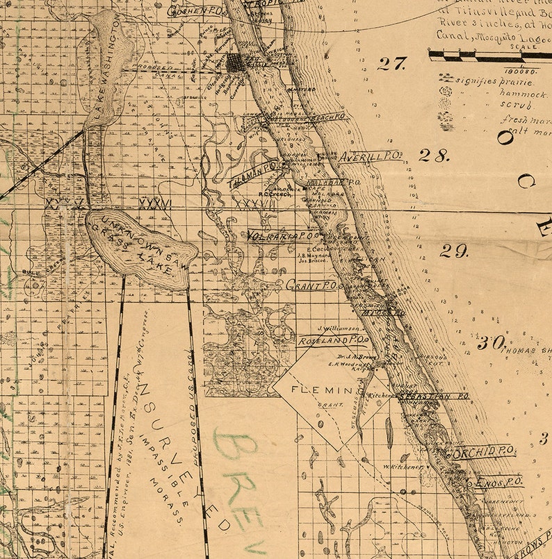 Map of Brevard County Florida 1893. Restoration Hardware Etsy