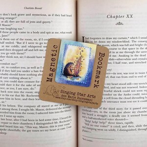 May include: A brown bookmark with a hedgehog illustration and the text "Singing Star Arts" and "Ann Marie Buonemani" with a website address. The bookmark is placed on an open book with the text "Chapter XX" visible.