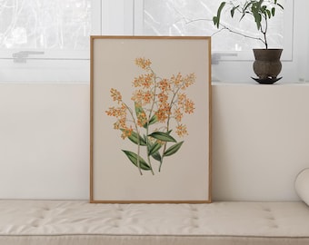 Botanical Fall Wall Art | Vintage Floral Print | Guest Room Decor | UNFRAMED | KIKIANDNIM