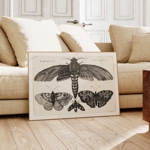 decorazioni accademiche leggere / stampe di farfalle vintage / decorazioni di Halloween vintage / arte murale vittoriana / decorazioni gotiche / kikiandnim / stampa digitale