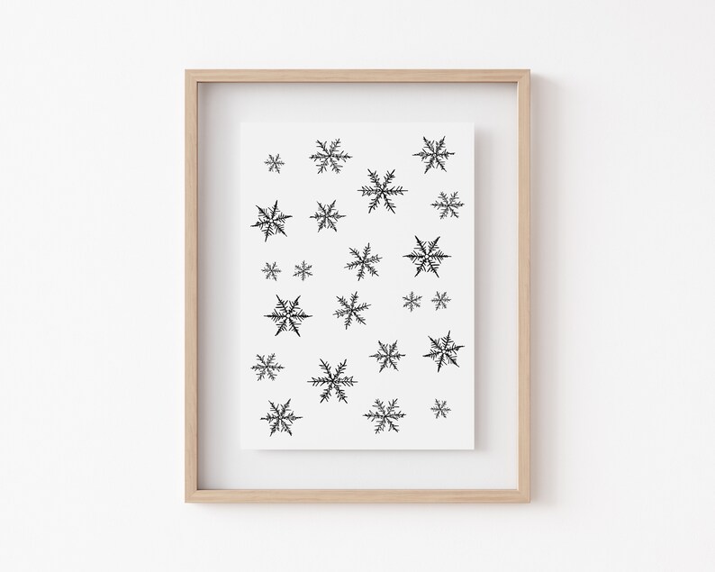 K&ouml;nnte beinhalten: Ein gerahmter Druck mit wei&szlig;em Hintergrund und einem verstreuten Muster aus schwarzen Schneeflocken-Illustrationen in verschiedenen Gr&ouml;&szlig;en und komplexen geometrischen Designs, eingefasst in einen schlichten hellen Holzrahmen.