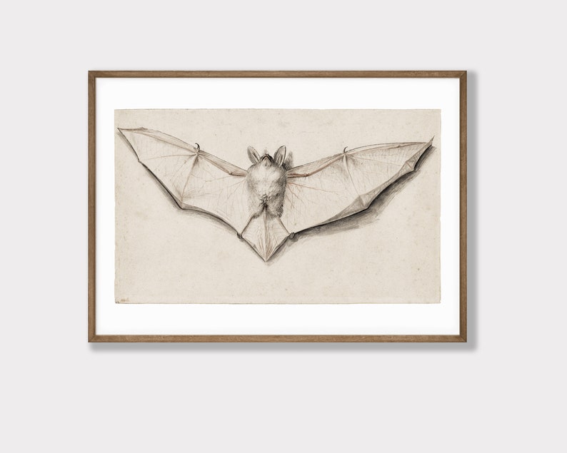 light academia decor vintage bat print vintage halloween decor gothic decor vampire aesthetic print kikiandnim digital print image 6