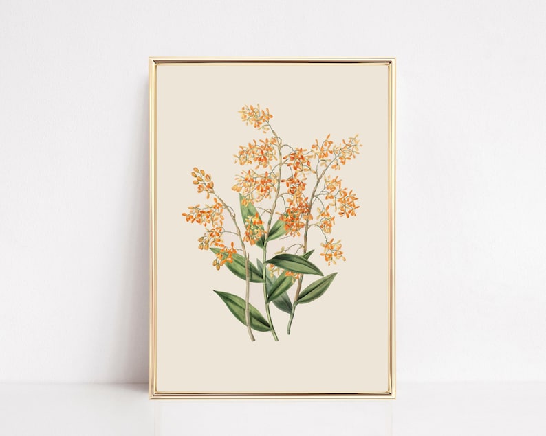 vintage botanical print | farmhouse wall decor | fall wall decor | french country decor | vintage wall art | kikiandnim | printable wall art image 1