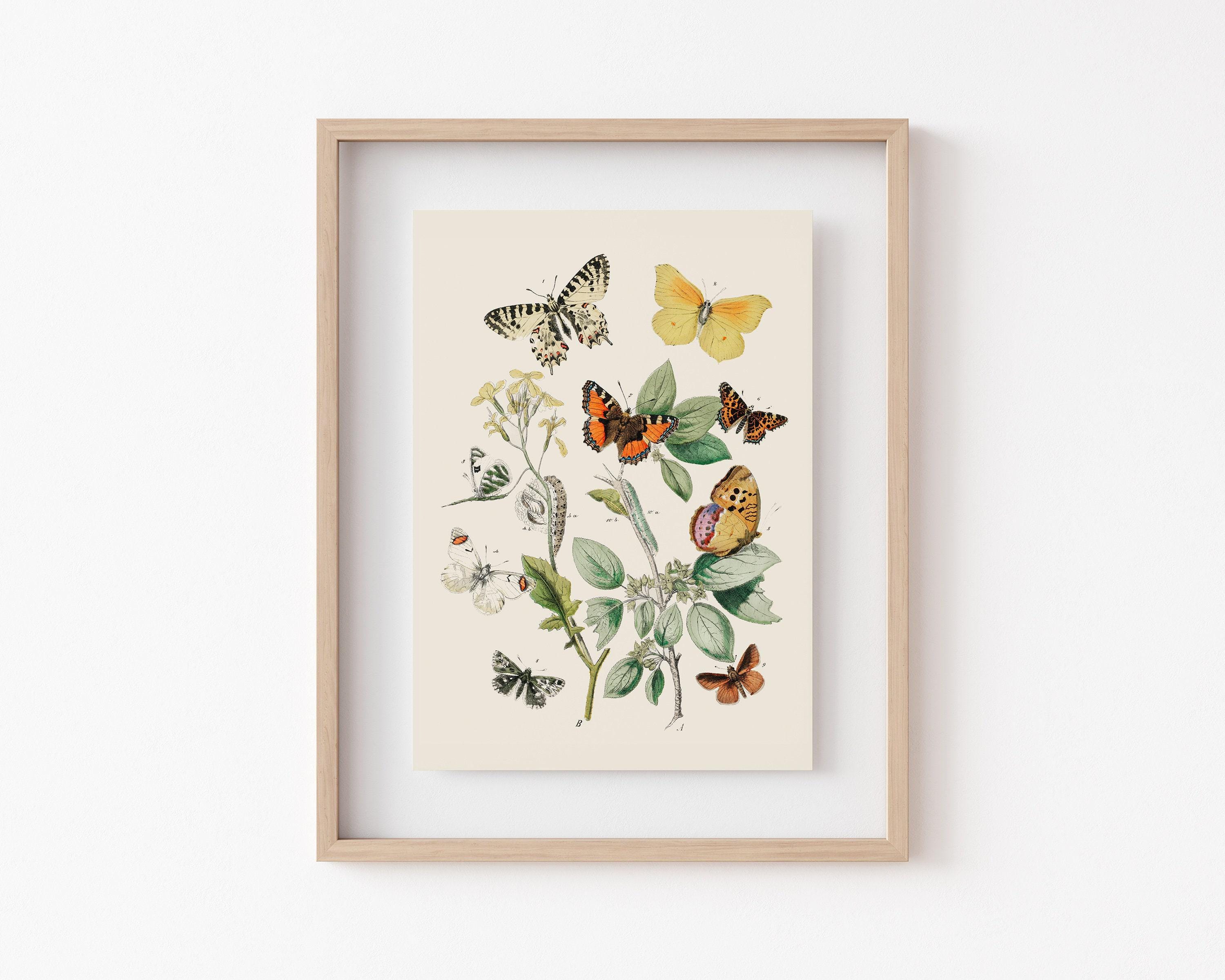 Vintage Butterfly Print | Nursery Wall Art | Eclectic Wall Art ...