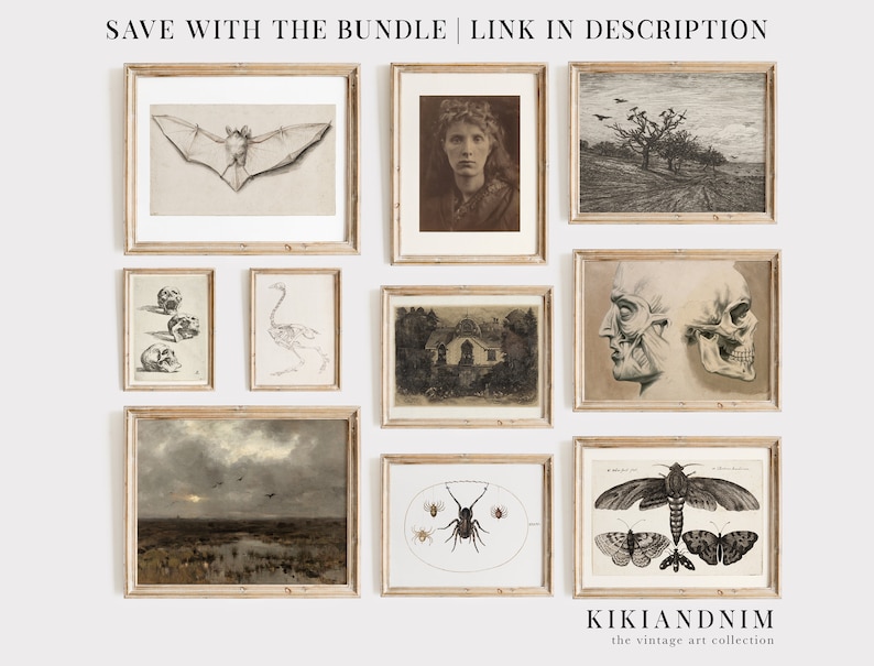 light academia decor vintage bat print vintage halloween decor gothic decor vampire aesthetic print kikiandnim digital print image 7