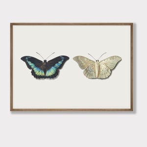 light academia decor | set of 9 prints | vintage gallery wall art set | victorian wall art | antique print | kikiandnim | printable wall art image 3