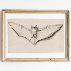 light academia decor vintage bat print vintage halloween decor gothic decor vampire aesthetic print kikiandnim digital print image 2