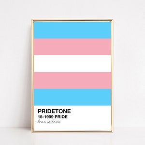 transgender gift | LGBTQ poster | PRIDE printable wall art | trans pride flag | queer art | trans pride print | digital download