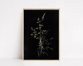 May include: A framed botanical print featuring a detailed illustration of tall grasses against a black background. The grasses are rendered in shades of white and light green, with fine lines and textures. The frame is a thin, gold color, adding a touch of elegance to the artwork.