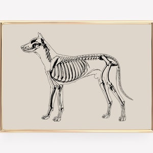 halloween line art | halloween decor | halloween printable wall art | halloween skeleton print | halloween poster | digital download