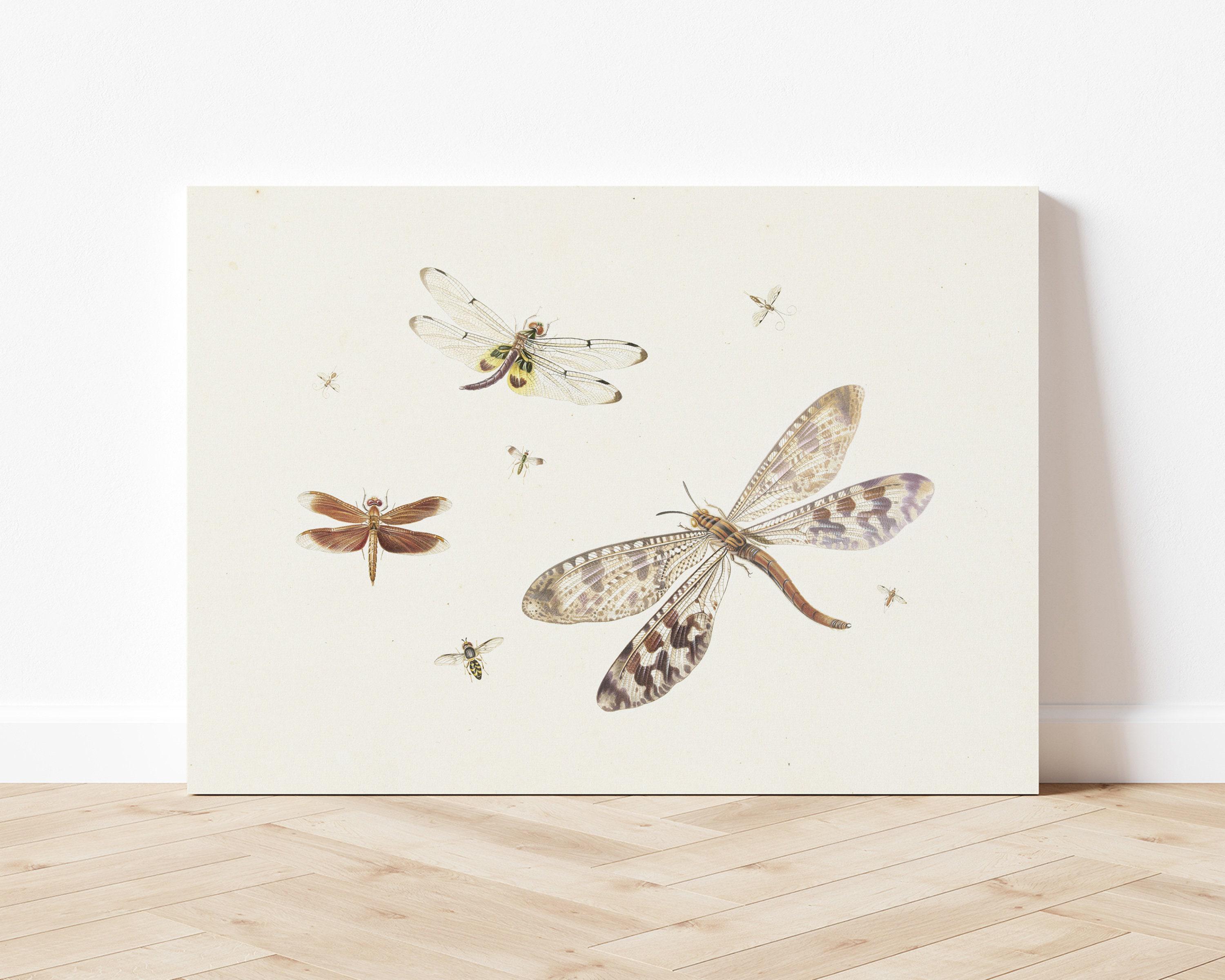 Vintage Dragonflies Art Print | Neutral Farmhouse Wall Decor | Vintage ...