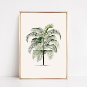 beachy wall art | vintage palm tree print | coastal wall art | palm tree sketch | tropical wall art | kikiandnim | printable wall art