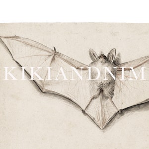 light academia decor vintage bat print vintage halloween decor gothic decor vampire aesthetic print kikiandnim digital print image 3