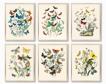 butterfly print set of 6 | vintage nursery wall art | butterfly wall art | gallery wall art | vintage botanical prints | digital download