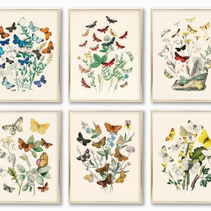 Schmetterlingsdruck 6er Set | Vintage Kunst fürs Kinderzimmer | Schmetterling Wandbild | galerie wand kunst | vintage botanische Drucke | digitaler Download