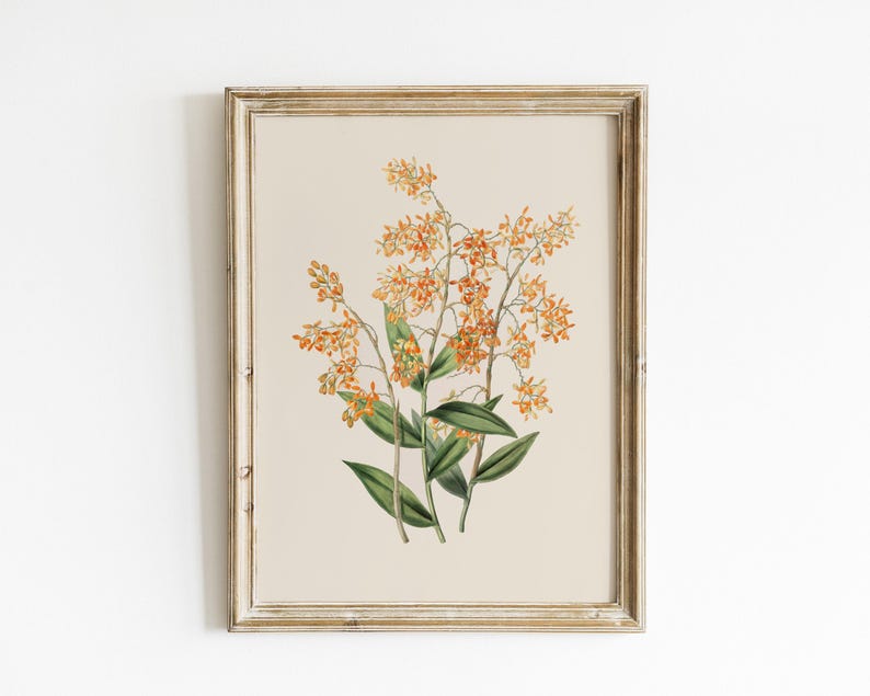 vintage botanical print | farmhouse wall decor | fall wall decor | french country decor | vintage wall art | kikiandnim | printable wall art image 2