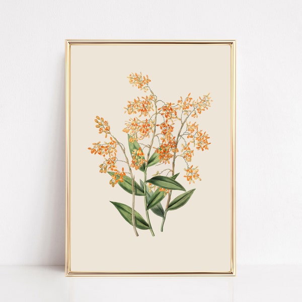 vintage botanical print | farmhouse wall decor | fall wall decor | french country decor | vintage wall art | kikiandnim | printable wall art