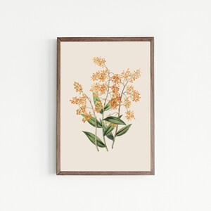 light academia decor | set of 9 prints | vintage gallery wall art set | victorian wall art | antique print | kikiandnim | printable wall art image 2