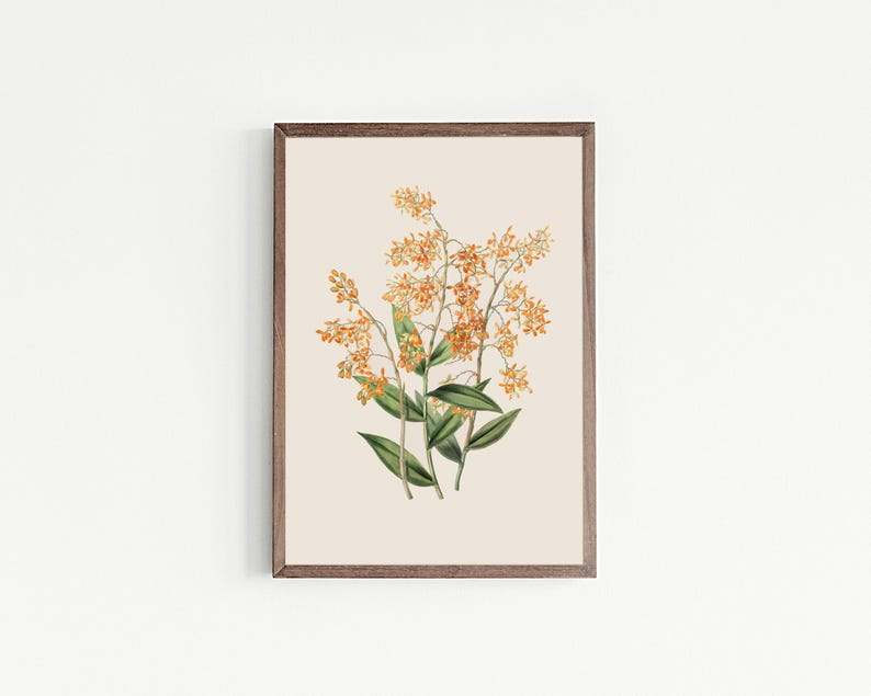light academia decor | set of 9 prints | vintage gallery wall art set | victorian wall art | antique print | kikiandnim | printable wall art image 2