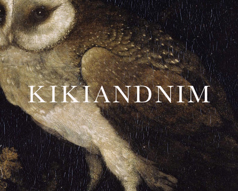 dark academia wall art | moody decor | vintage halloween decor | gothic wall art | vintage owl painting | kikiandnim | digital print image 3