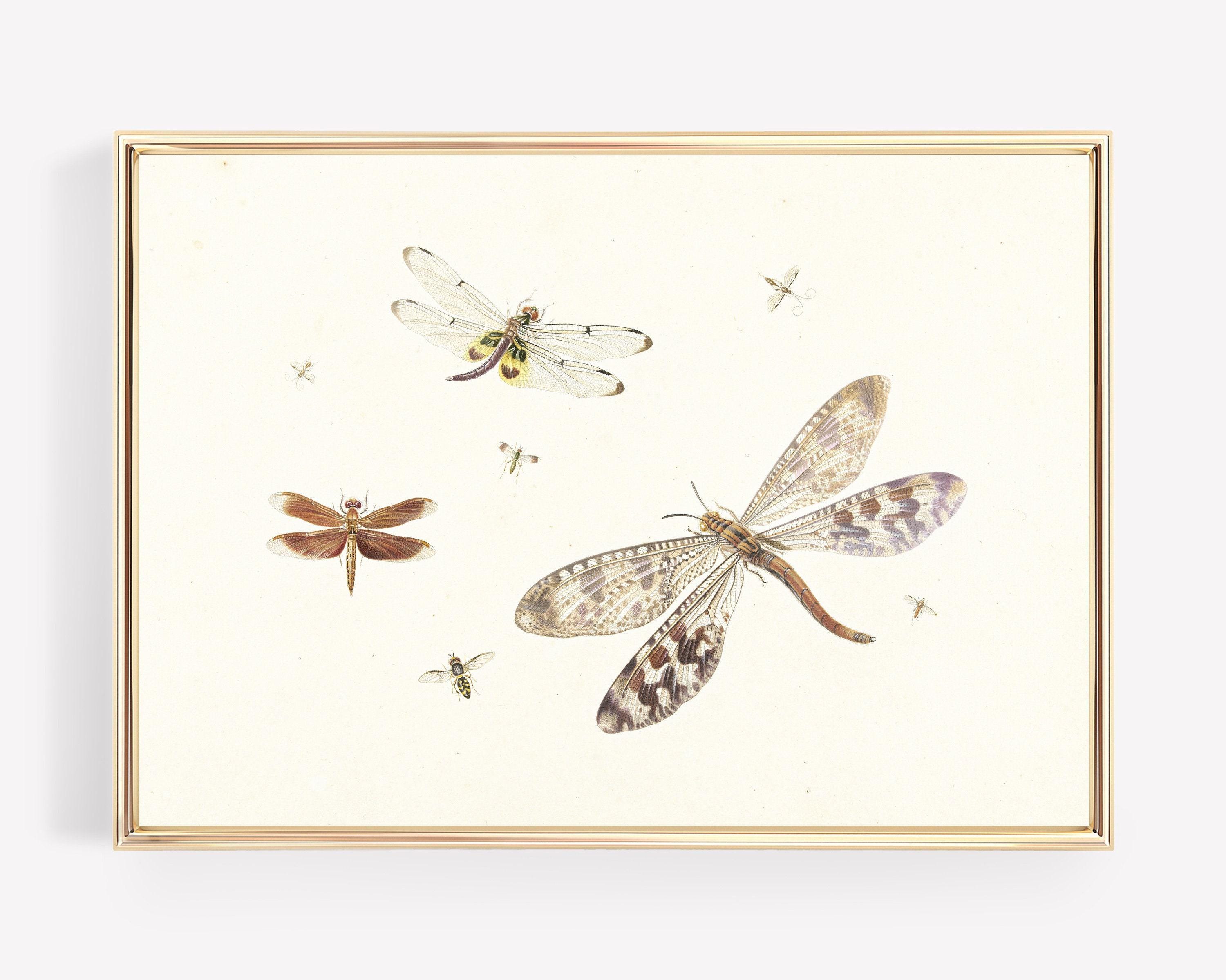 Vintage Dragonflies Art Print | Neutral Farmhouse Wall Decor | Vintage ...