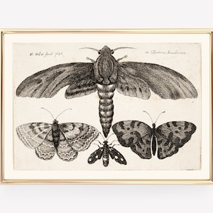 light academia decor | vintage butterfly print | vintage halloween decor | victorian wall art | gothic decor | kikiandnim | digital print