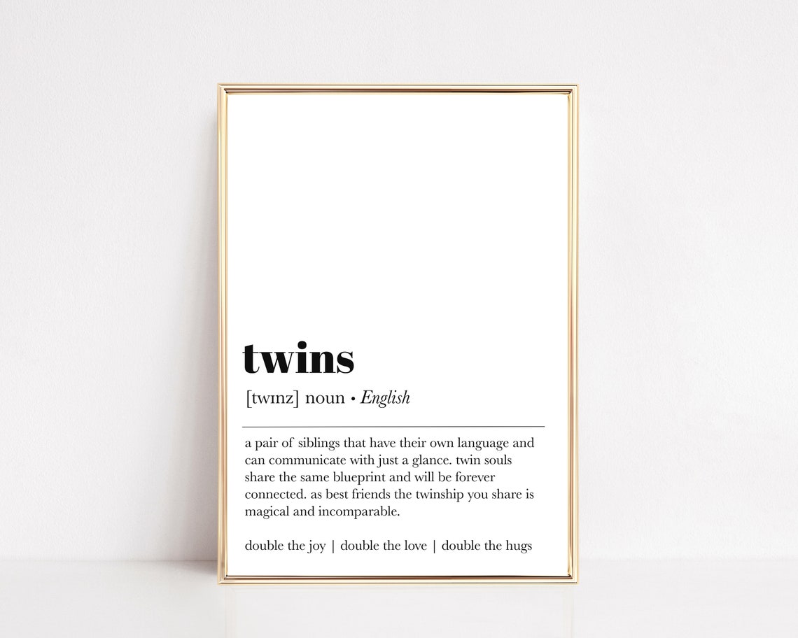 TWIN DEFINITION MEANING visual data 6