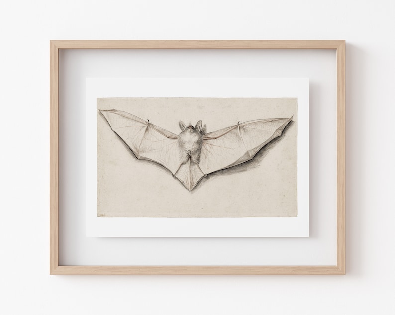 light academia decor vintage bat print vintage halloween decor gothic decor vampire aesthetic print kikiandnim digital print image 5