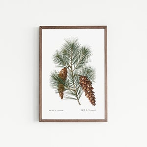 Vintage Christmas Print Vintage Holiday Decorations Vintage Botanical ...