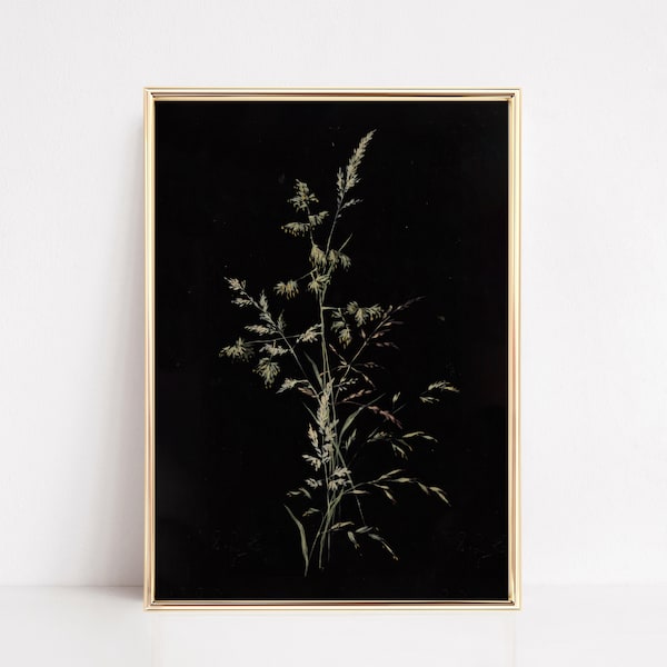dark botanical print | moody wall art | dark academia decor | victorian wall art | gothic home decor | dark art | kikiandnim | digital print