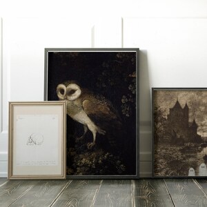 dark academia wall art | moody decor | vintage halloween decor | gothic wall art | vintage owl painting | kikiandnim | digital print image 4