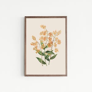 vintage botanical print | farmhouse wall decor | fall wall decor | french country decor | vintage wall art | kikiandnim | printable wall art image 4